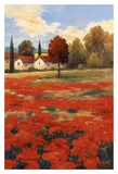 Castigliani I Affiches par Kanayo Ede