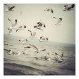 Up Up and Away Affiches par Irene Suchocki