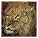 Portrait de Lion Posters av Arietta Braun