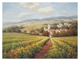 Domaine de Pays Prints by Marino 