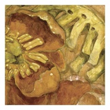 Pivoines IV Affiches par Nicole Etienne