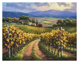 Vineyard Hill I Prints by Sung Kim