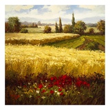 Golden Harvest Poster by Hulsey 