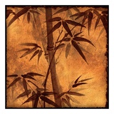 Natural Bamboo II (detail no. 5) Prints
