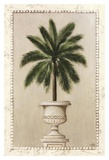 Palm Appeal I Prints by Welby 