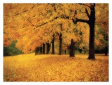 Gold of Autumn West Print by M. Ellen Cocose