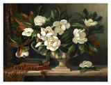 Magnolias Revisit Prints by Hope Reis