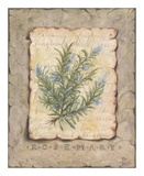 Vintage Herbs, Rosemary Posters by Constance Lael