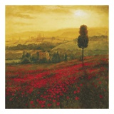 Nuances de coquelicots Affiche par Steve Thoms