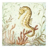 Atlantic Seahorse Poster par Kate McRostie