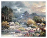 Springtime Valley Posters by James Lee