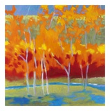 Rainy Morning Prints by Marshall Noice