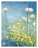 Water Garden Prints by Richard Judson Zolan