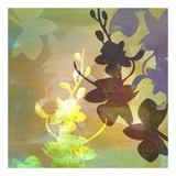 Orchid Shadows III Prints by Jan Weiss