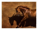 Adobe Dancer Print by Robert Dawson