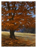 Fall Maple Prints by Bruce Braithwaite