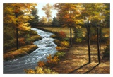 Roaring Brook Poster par Diane Romanello