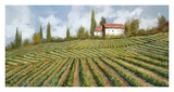 Di Collina Posters by Furtesen 