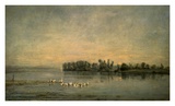Le Marais de Canards Prints by Charles Francois Daubigny