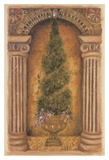 Cypress Niche Prints by Shari White