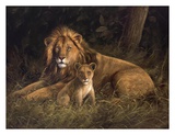 Lion and Cub Print by Kilian 