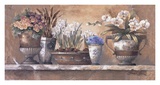 Antique Blossoms Print by James Lee