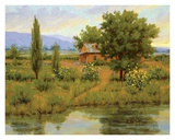 Wild Sunflowers Poster by Roger Williams