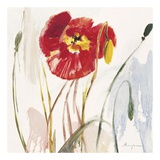 Crimson Poppy III Poster von Marysia 