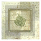 Leaf Carre IV Posters by Pierre Fortin