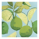 Fresh Limes Prints by Martha Negley