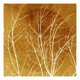 Branches Orange Prints by Heidi Lewis Coleman