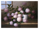 Hydrangea Blossoms l Print by Welby 
