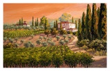 Coral Skies Over Tuscany Prints by Erin Dertner