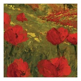 Poppies of Toscano II, no. 14 Plakater af Art Fronckowiak Poppies of Toscano II, no. 14 Plakater af Art Fronckowiak