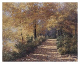 Natures Colors Prints by Diane Romanello