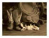 Cowboy Puppy Affiches par Robert Dawson