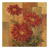 Daisies Terra Cotta Kunstdrucke von Barbara Mock