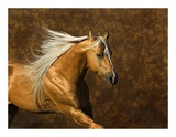 Golden Boy II Prints by Robert Dawson