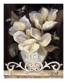 Magnolias de Nice Affiches par Shari White
