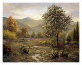 Montree Kunstdrucke von Joe Sambataro