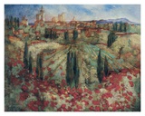 Fleur Rouge en Provence Posters by Rutherford 