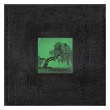 Bonsai Poets Tree Poster by OM 