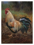 White And Green Rooster Posters par Nenad Mirkovich