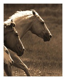 Moon Light Run IV Prints by Robert Dawson