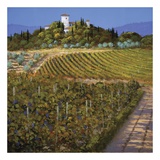 Vines, The Affiches par Steve Thoms