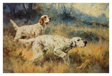 Two Setters Prints by Percival L. Rosseau