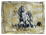Alcippe Prints by Marta Wiley