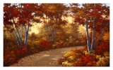 Golden Birch Prints by Diane Romanello