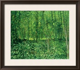 Woods and Undergrowth, c.1887 Framed Giclee Print by Vincent van Gogh