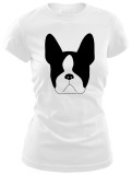 Juniors: Boston Terrier Shirts by Avalisa 